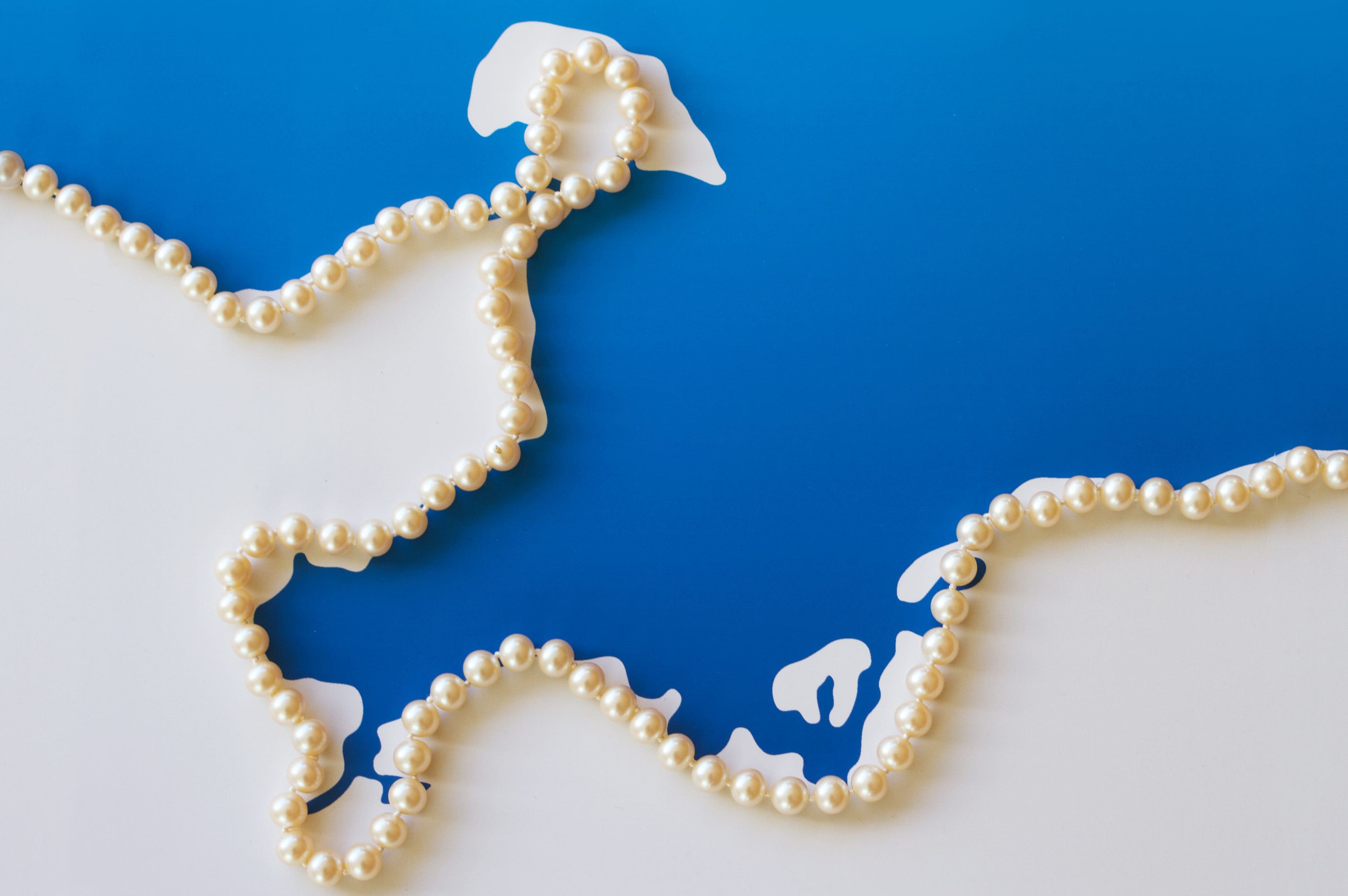 Keyvisual und CD · FRANKE Hausverwaltung & Immobilien